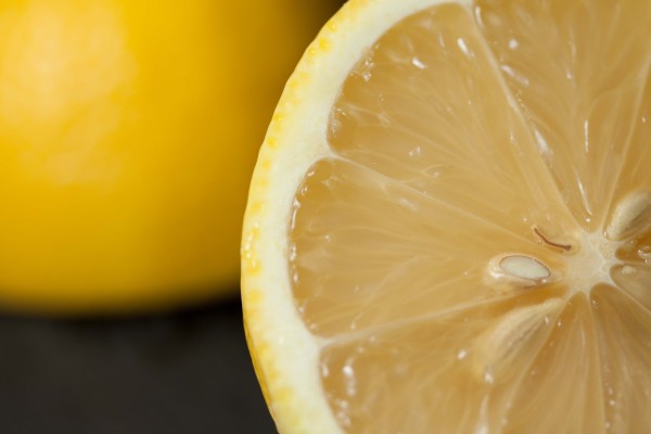 lemon cross-section